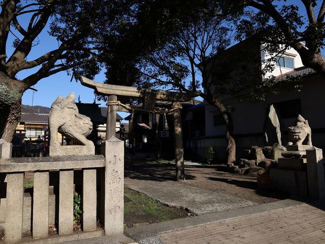 摂社天目一箇神社の鳥居と狛犬。狛犬は慶応2年造立。_小烏神社