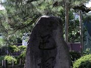 Yanwenliさんの巴御前松公園の投稿写真1