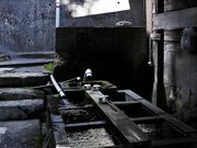 Yanwenliさんの神岡の共同水屋の投稿写真1