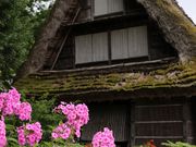 Yanwenliさんの羽馬家住宅の投稿写真2