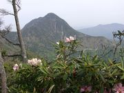 カモちゃんさんの皇海山の投稿写真1