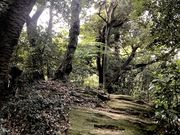 poppieさんの散在ヶ池森林公園の投稿写真1