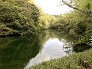 poppieさんの散在ヶ池森林公園の投稿写真2