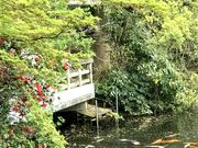 poppieさんの散在ヶ池森林公園の投稿写真5