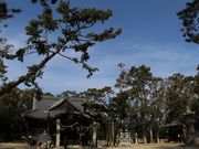 Yanwenliさんの猪名野神社の投稿写真1