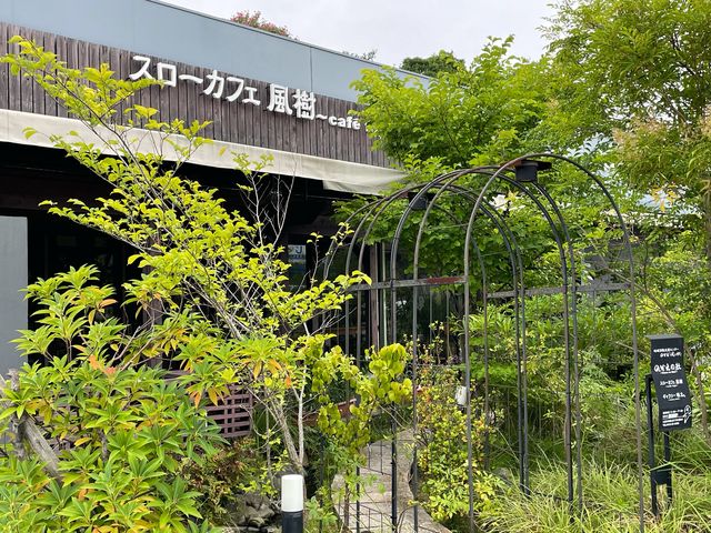 スローカフェ_風樹