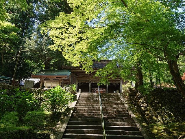 新緑が爽やかです_明石寺