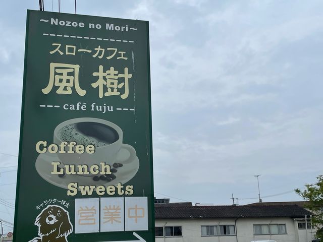 風樹_風樹