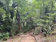 4人のかーちゃんさんの浦山古墳の投稿写真1