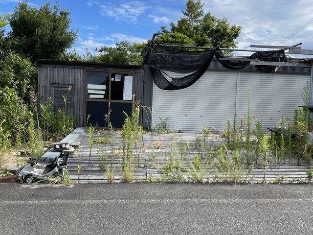 草ぼうぼうです_淡路島GO!カート