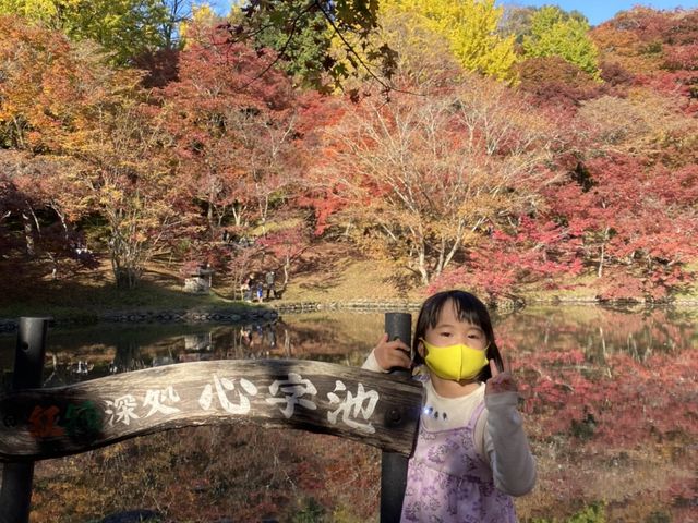 かずさんのもみじの里公園の投稿写真1
