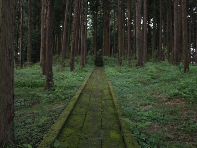 レッドさんの般若寺跡の投稿写真4