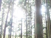 レッドさんの般若寺跡の投稿写真3