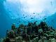 ようさんのDIVING SHOP RYAAANへの投稿写真3