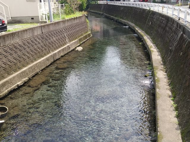 水の神様がいらっしゃいます。
_水前寺観光センター