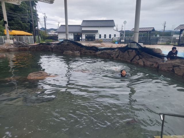 やや深いところと浅いところがある_磯体験施設 海ほおずき