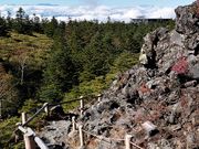 yu‐cyanさんの北八ヶ岳ロープウェイの投稿写真1