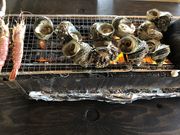 ママちゃんさんの海鮮浜焼き小屋・まるはまの投稿写真2