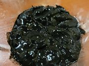 amiさんの河鹿の投稿写真1