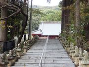 こぼらさんの大福寺(静岡県浜松市)の投稿写真1