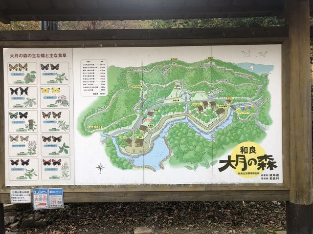 あさぎやまさんの和良大月の森公園キャンプ場の投稿写真1