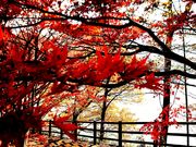 yu‐cyanさんの草木湖の投稿写真1
