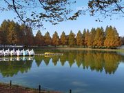 あきぼうさんの川越水上公園の投稿写真2