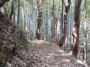 こぼらさんの隠れ古道 金王道の投稿写真3