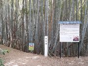 こぼらさんの隠れ古道 金王道の投稿写真6