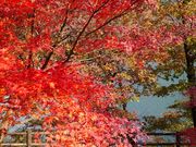 yu‐cyanさんの草木湖の投稿写真1