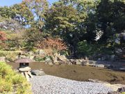 おかあちゃんさんの龍宮城工作室の投稿写真3