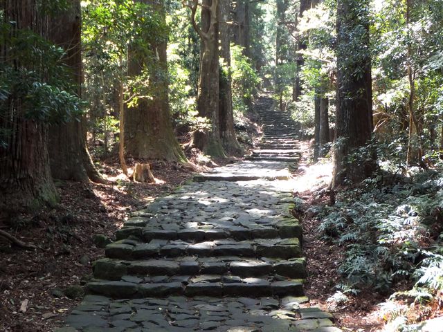ゴールの大門跡広場が近づきました。_熊野古道 大門坂