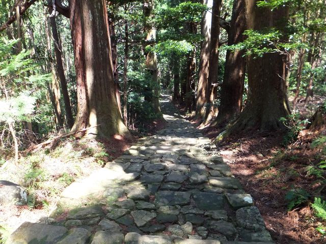 大門跡の手前で、登ってきた坂道を振り返りました。_熊野古道 大門坂