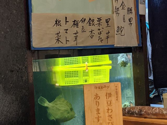 水槽にカワハギが一匹泳いでました。淋しそう。_海幸楽膳 釜つる