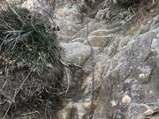 ああああさんの錫杖ヶ岳の投稿写真4