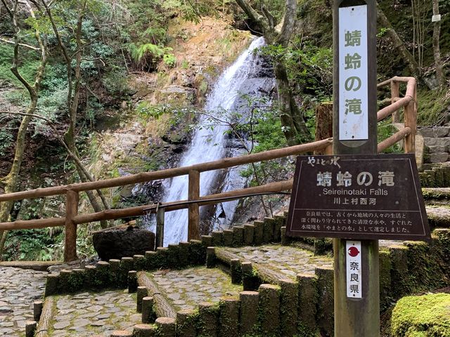 美しい_蜻蛉の滝
