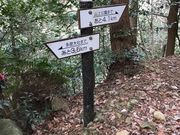 ああああさんの多度山の投稿写真2