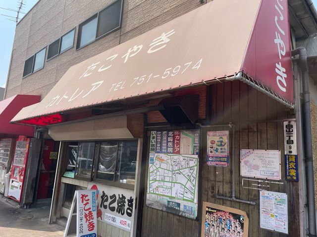カトレア_カトレア