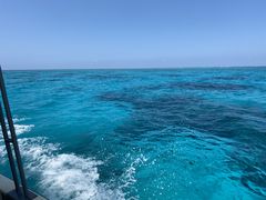 西表インシャーの写真1