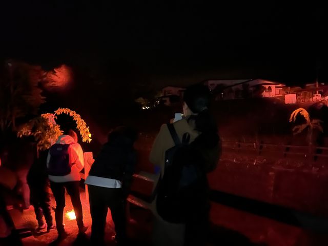 シカ観察会_【富士山自然遊び】スパイシージャム