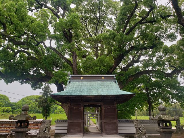 幻想的な空間!_大木町 かんけい 案内所