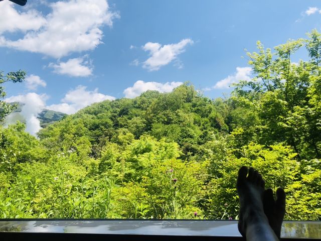 スッキリとした青空と新緑が綺麗でした_はげの湯温泉 くぬぎ湯