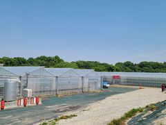 築地オヤジさんの真心農園への投稿写真1