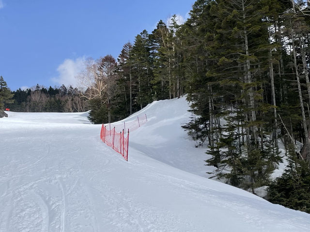 地形遊びめちゃくちゃできる_丸沼高原スキー場