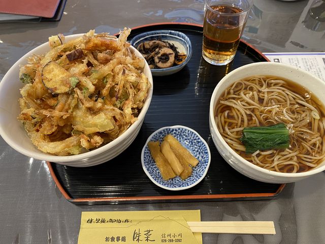 かき揚げ丼900円プラス300円そば付き_道の駅 おがわ 食事処 味菜