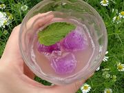 ちなみっくすさんの草木染工房 風雅の投稿写真4