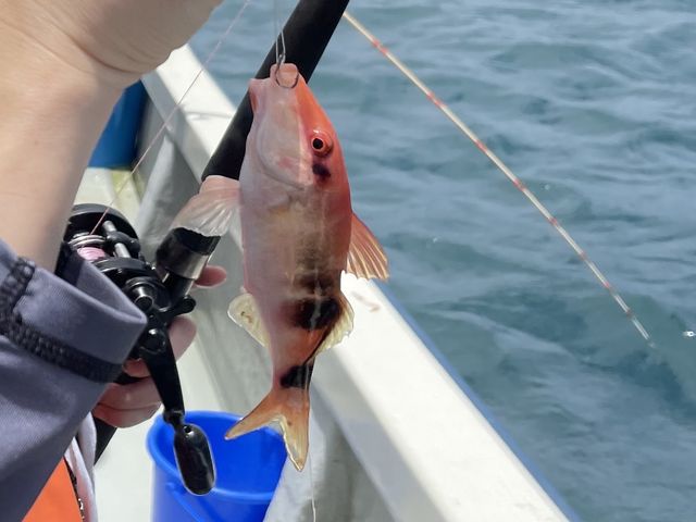 オジサンが連れました_もとぶつりぐ善海丸