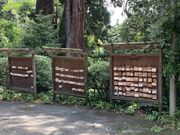 genieさんの大岩山毘沙門天(大岩山多聞院最勝寺)の投稿写真2