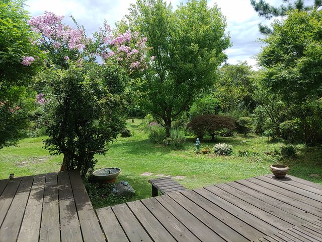 隣のカフェのお庭。_陶芸工房「水の音 土の音」
