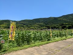 酪農王国オラッチェの写真4